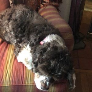 Meet your Posher, Gail